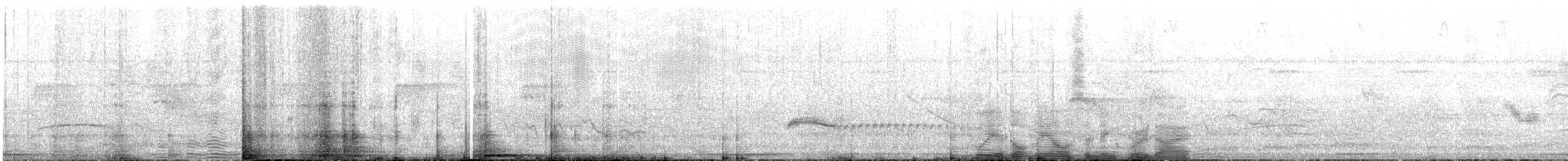 Colibri de Berlepsch - ML471713691