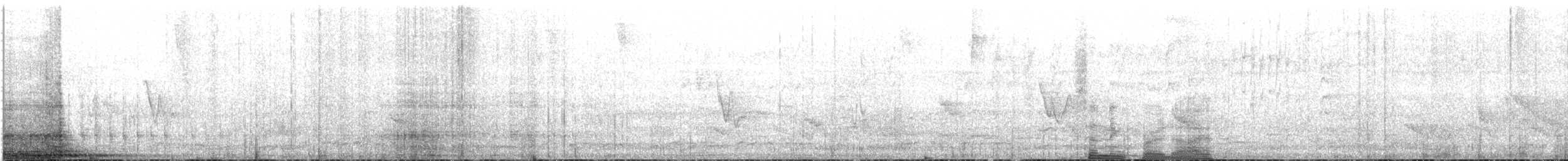 Colibri de Berlepsch - ML471713701