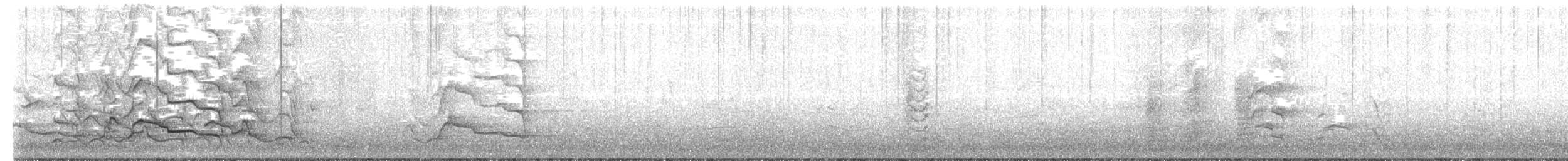 kakadu běloocasý - ML471731591