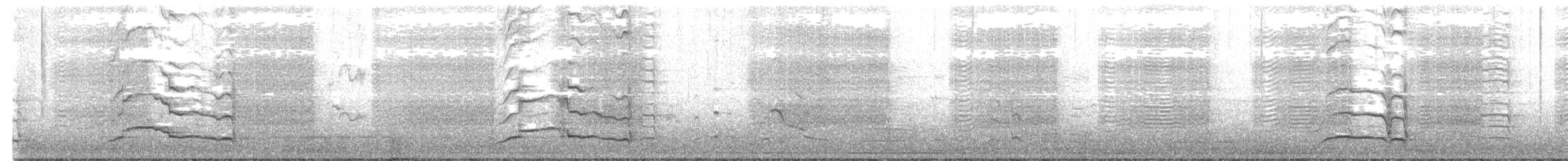 Carnaby Siyah Kakadusu - ML471731651