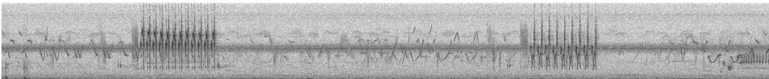 ハシナガヌマミソサザイ（palustris グループ） - ML471749491