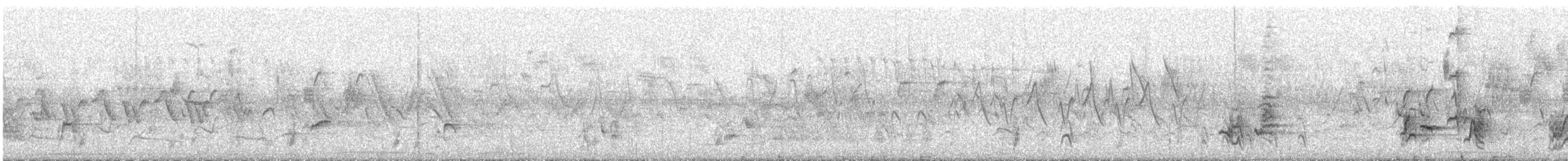 ネコマネドリ - ML471749561