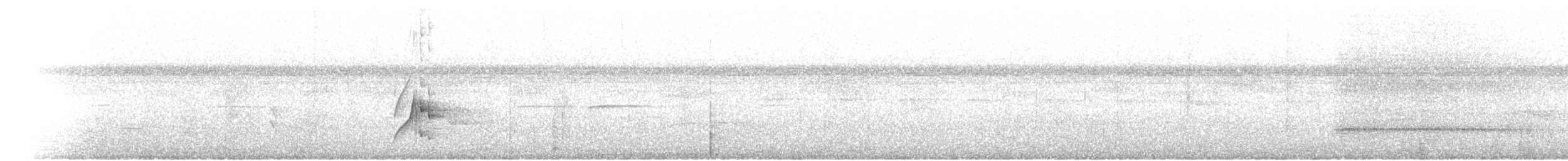 Band-tailed Manakin - ML471753291
