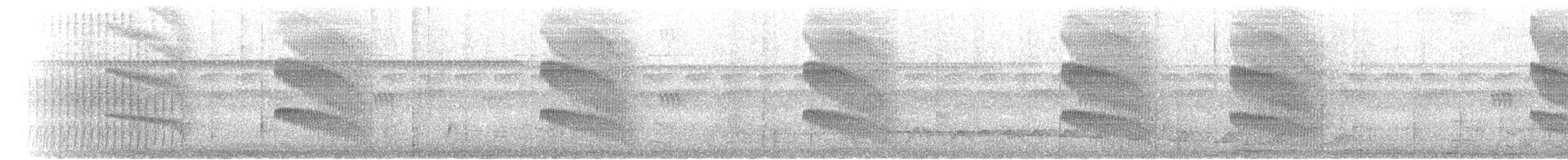 Чернопятнистая гологлазка - ML471757151