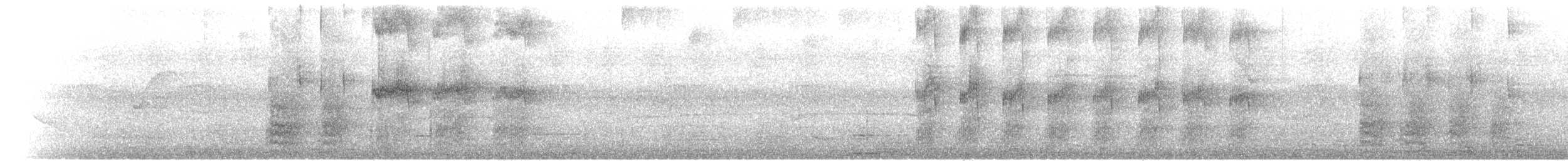 bruntreløper (brigidai) (okerhaketreløper) - ML471757171