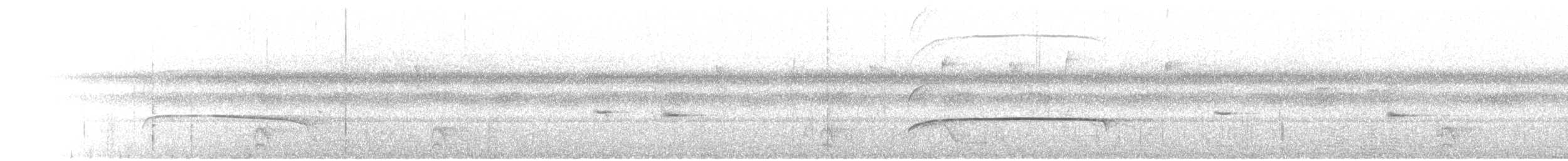 Rostschwingen-Maskentyrann - ML471757391