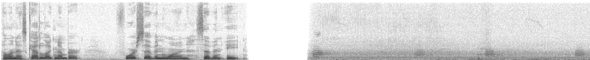 Purple Roller - ML47178