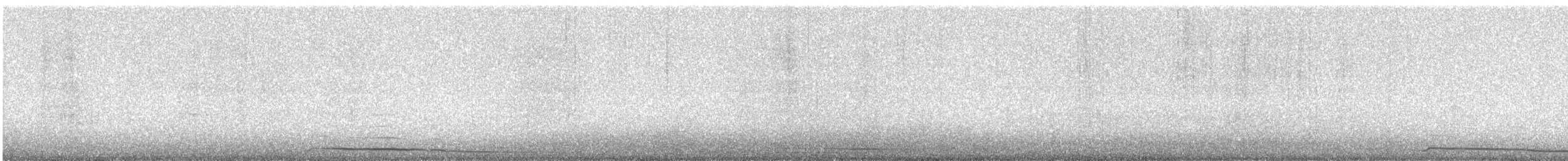 Zino's Petrel - ML471792231