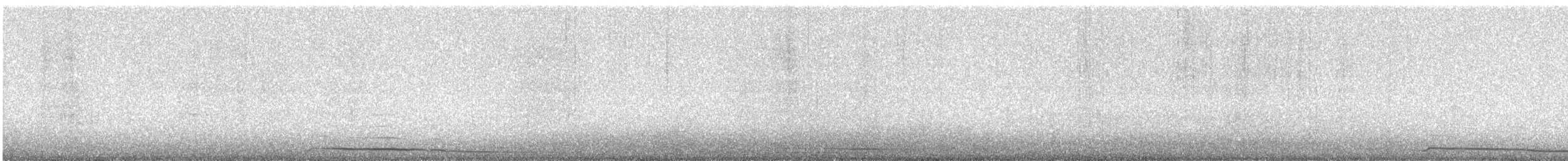 Madeirako braia - ML471792231
