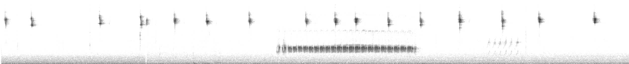 Kara Karınlı Kumkuşu - ML471806281