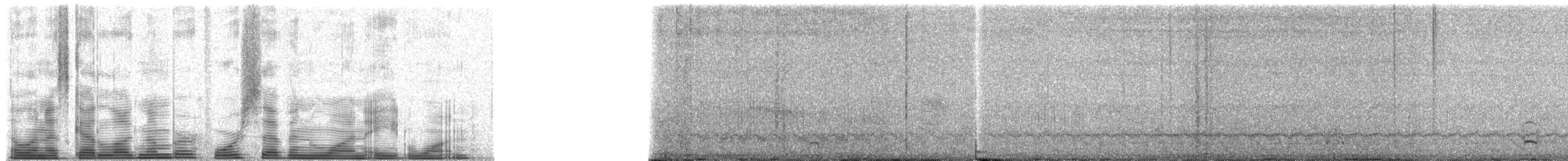 Hemprich's Hornbill - ML47181