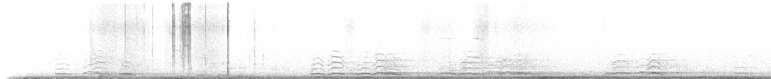 Cygne siffleur - ML471823881