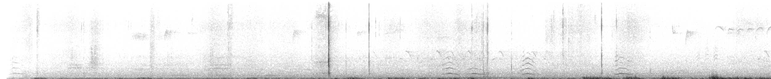 Cygne siffleur - ML471824701