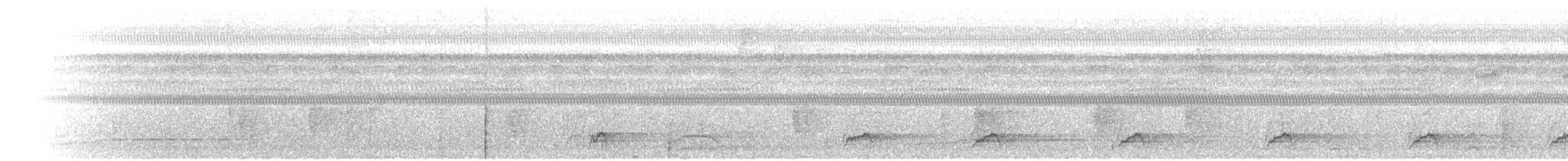 Kara Karınlı Sincap Guguğu - ML471835431