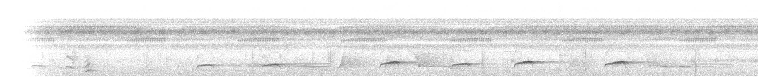 Saltarín Frentiblanco - ML471837361