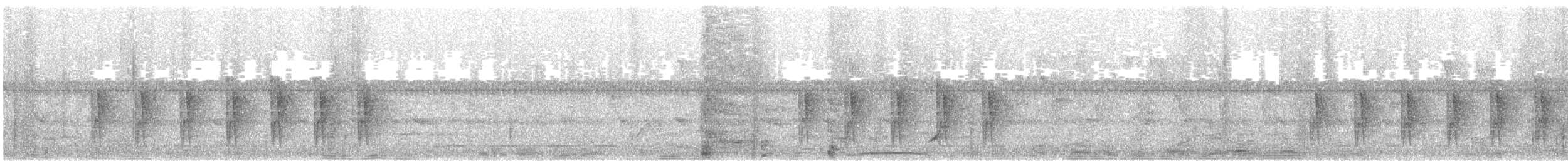 Camaroptère à tête grise (groupe brevicaudata) - ML471881811