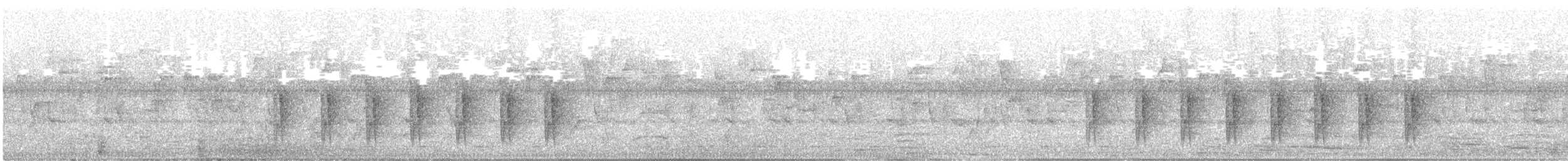 Camaroptère à tête grise (groupe brevicaudata) - ML471881931