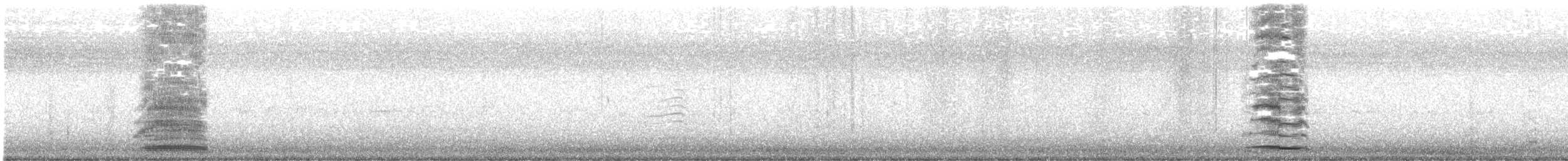 svanegås (domestisert) - ML471908881