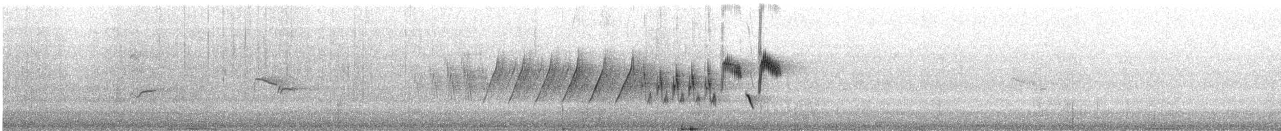 linduška lesní - ML471912031