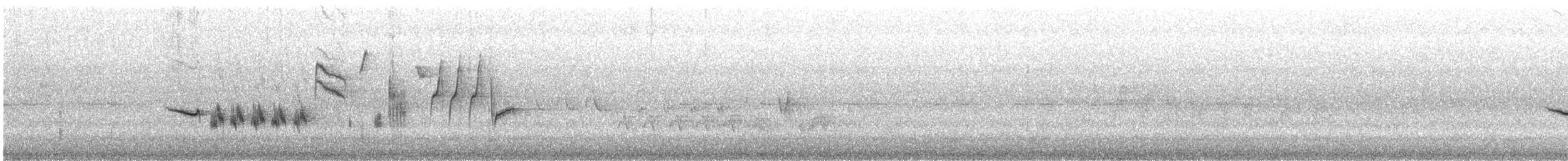 rehek zahradní - ML471912311