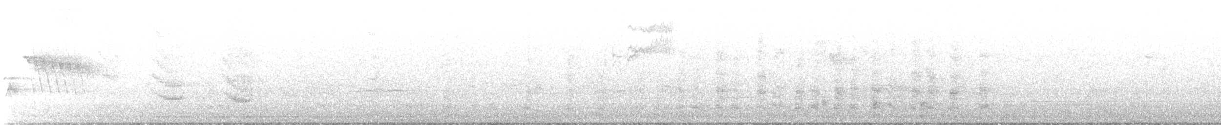 Тауї плямистий - ML471929191