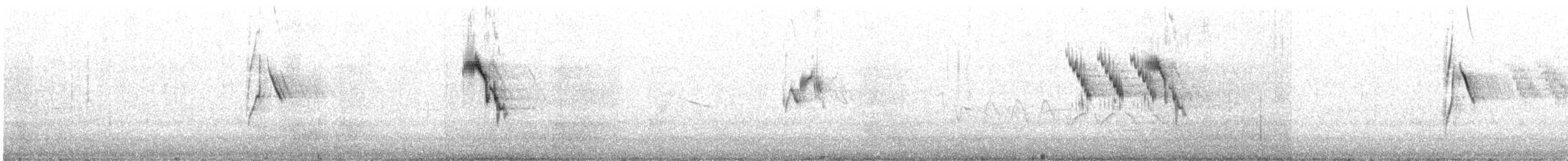 konipas luční - ML471930431