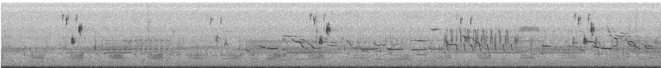 brakkspurv - ML471955501