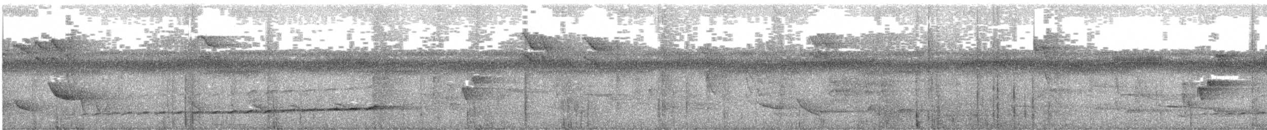 Visayan Blue-Fantail - ML471965911