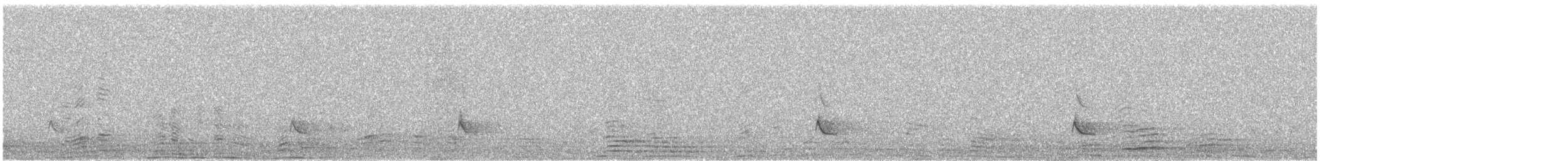 Western Bluebird - ML471966721