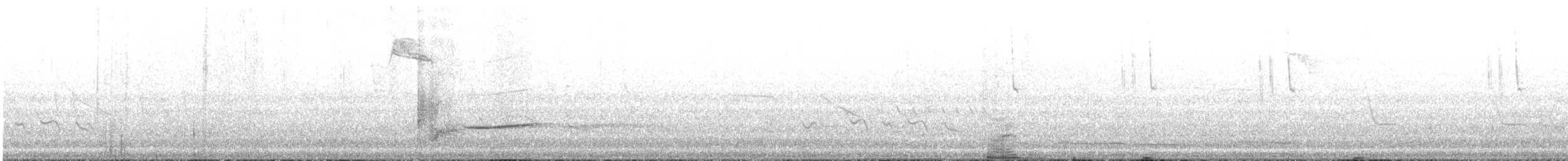 Colibri bourdon - ML471968861