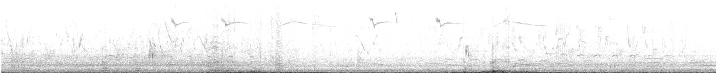 Kısa Kuyruklu Ormanyıldızı - ML471974121