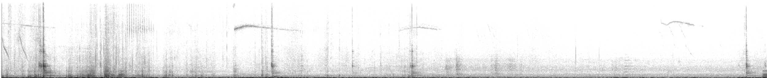 Kısa Kuyruklu Ormanyıldızı - ML471975471