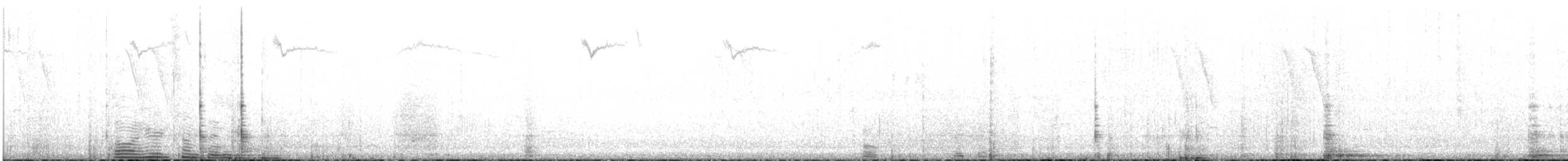 Kısa Kuyruklu Ormanyıldızı - ML471975491