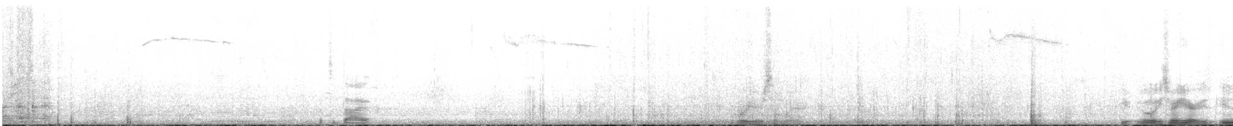 Kısa Kuyruklu Ormanyıldızı - ML471975531