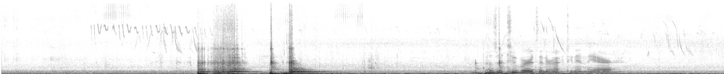 Kısa Kuyruklu Ormanyıldızı - ML471976241