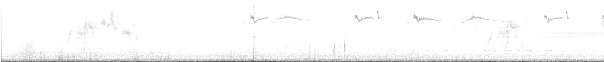 Kısa Kuyruklu Ormanyıldızı - ML471976321