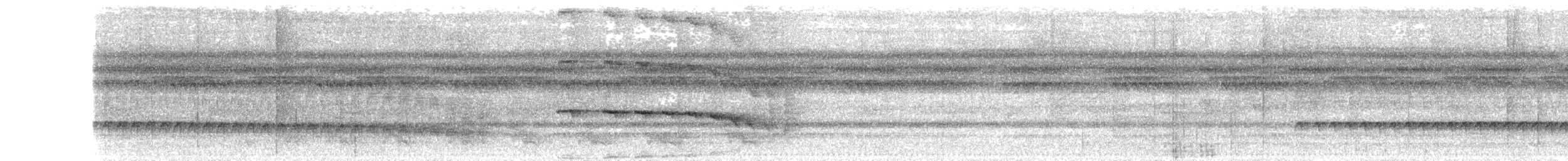 Weißstirn-Ameisenschnäpper - ML47197821