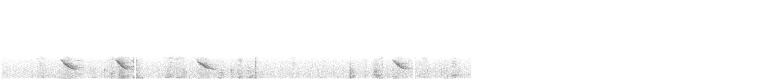 svarthaleplystrer - ML472145491