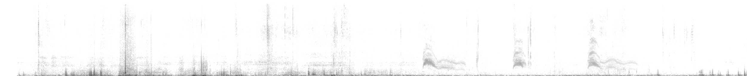 ボナパルトカモメ - ML472161691
