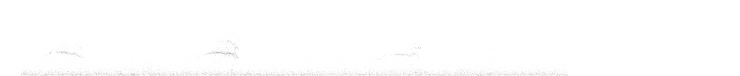 Folaga - ML472237271