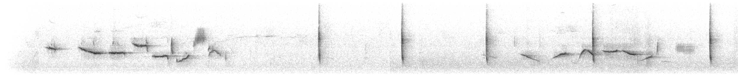 Fuchsammer - ML472240141