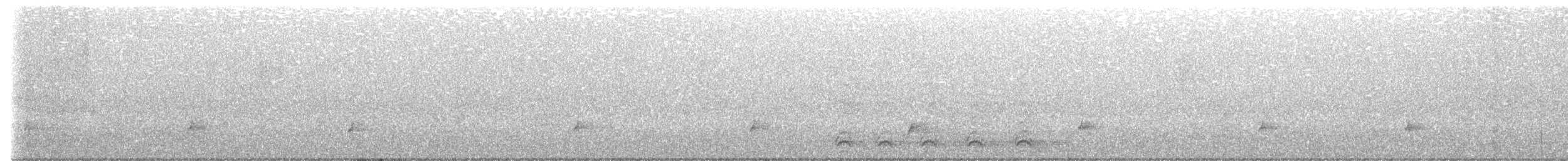 Дрізд-короткодзьоб Cвенсона - ML472260581