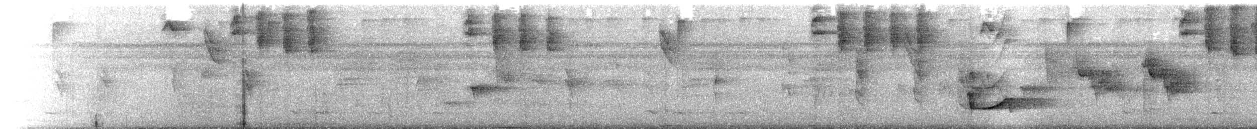 perletreløper - ML472264741