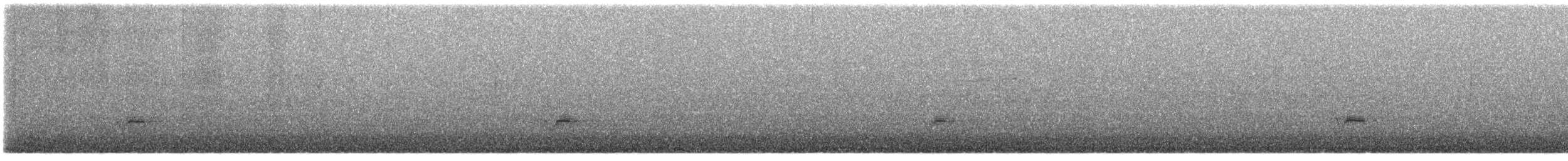 Птах sp. - ML472304261