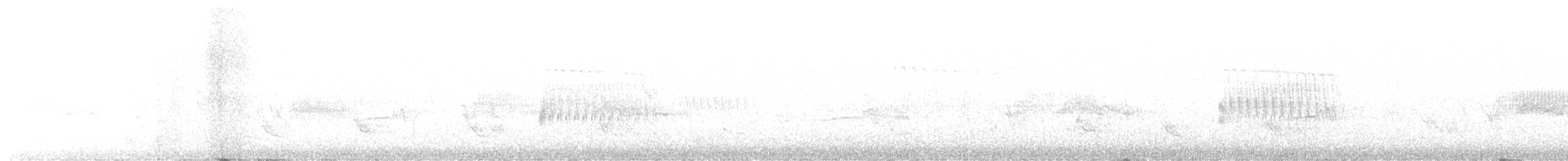 Winternachtschwalbe - ML472325151