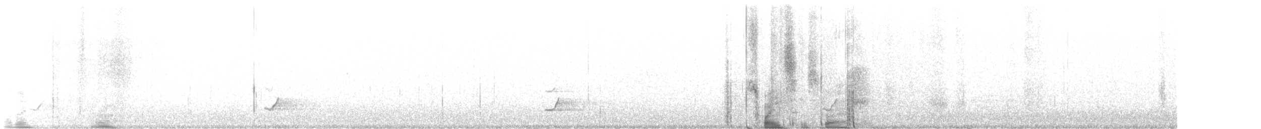 brunkinnskogtrost (ustulatus gr.) - ML472327071
