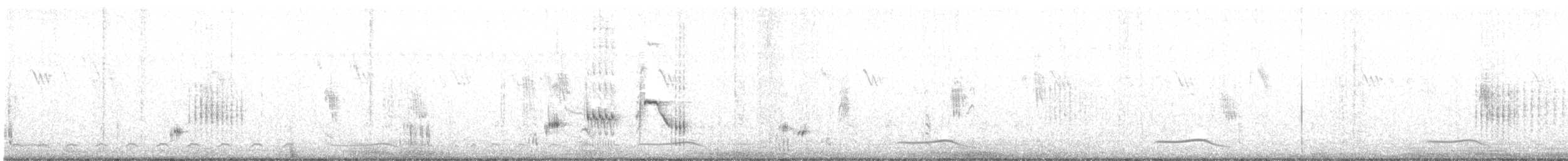 Siamese Pied Starling - ML472413651
