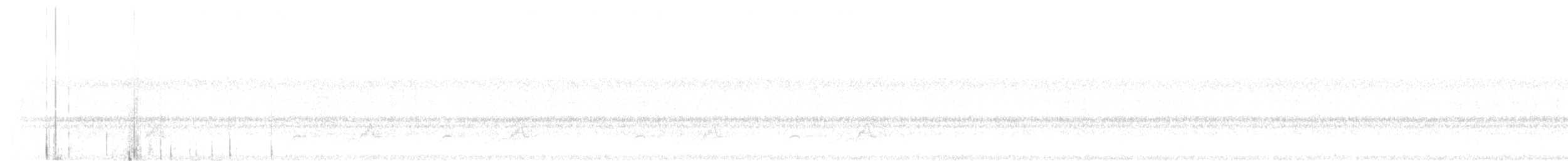 Schwarzkehl-Nachtschwalbe - ML472417351
