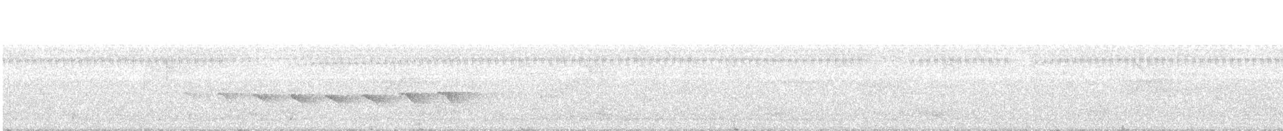 Kurzschwanz-Ameisenvogel - ML472417751