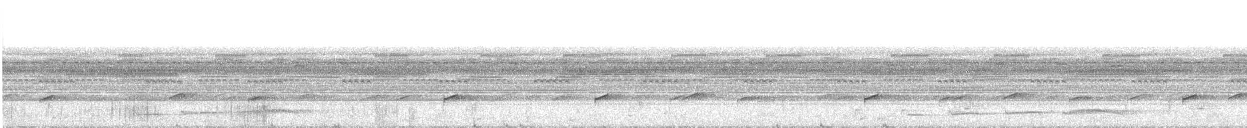 Chocónachtschwalbe - ML472418491